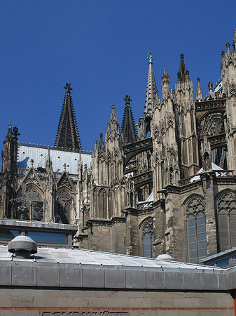 Kölner Dom mit Dombauhütte Fotos