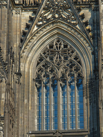 Fotos Fenster des Kölner Doms