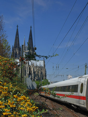 Kölner Dom mit ICE - Nordrhein-Westfalen (Köln)