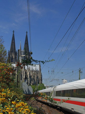 Fotos Kölner Dom mit ICE