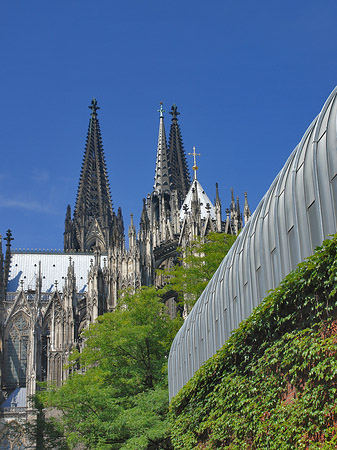 Hauptbahnhof vor dem Kölner Dom Fotos