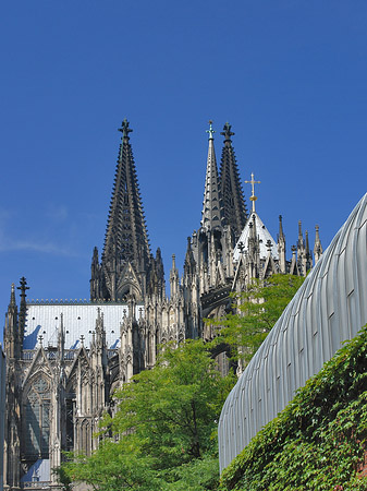 Hauptbahnhof vor dem Kölner Dom - Nordrhein-Westfalen (Köln)