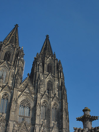 Foto Kreuzblume vor Kölner Dom - Köln