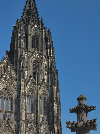 Kreuzblume vor Kölner Dom