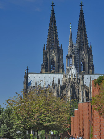 Fotos Steinmauer zum Kölner Dom | Köln