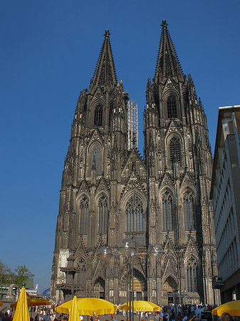 Fotos gelbe Sonnenschirme vor Kölner Dom | Köln