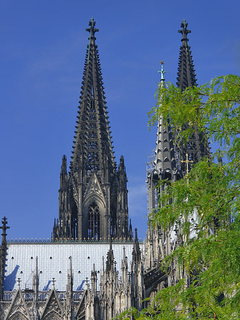 Foto Türme des Kölner Doms - Köln