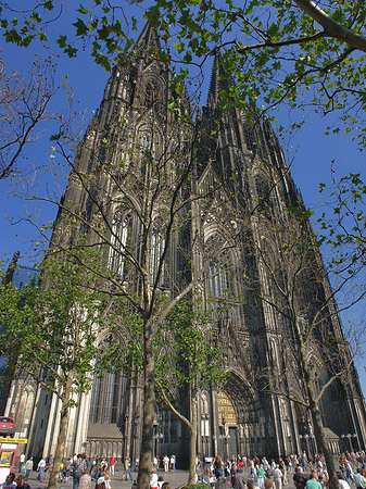 Fotos Westfassade des Kölner Doms