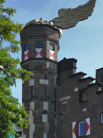 Flügelauto auf Kölnischem Stadtmuseum - Nordrhein-Westfalen (Köln)