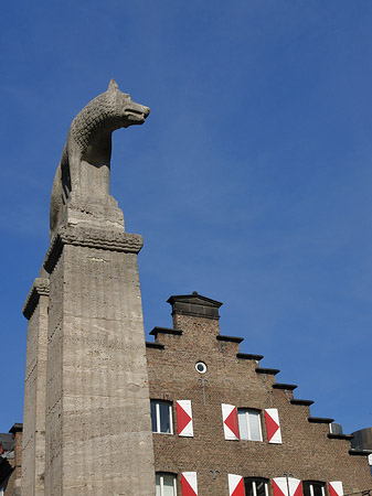 Wolfsstatue und Stadtmuseum - Nordrhein-Westfalen (Köln)