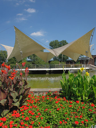 Tanzbrunnen im Rheinpark Fotos