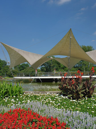 Tanzbrunnen im Rheinpark Foto 