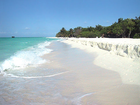 Fotos Der weiße Sandstrand der Malediven | 