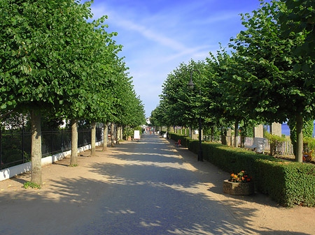 Strandpromenade - Mecklenburg-Vorpommern (Ostseebad Binz)