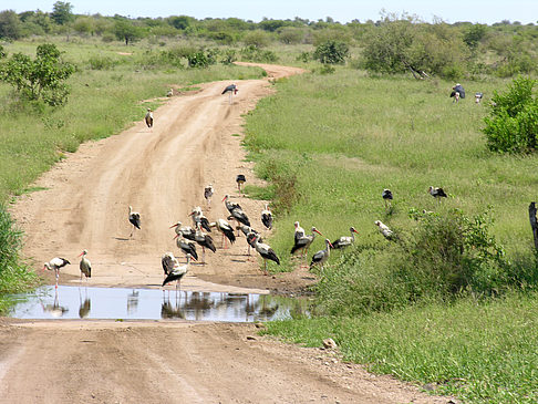 Straßen - Mpumalanga