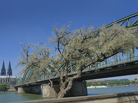 Hohenzollernbrücke am Kölner Dom Foto 