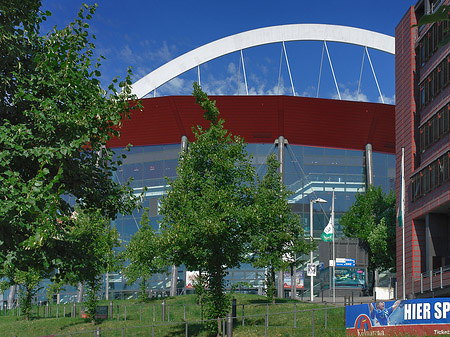 Foto Kölnarena auf einer Wiese - Köln