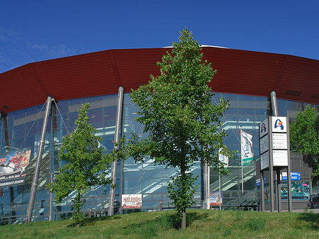 Kölnarena auf einer Wiese - Nordrhein-Westfalen (Köln)