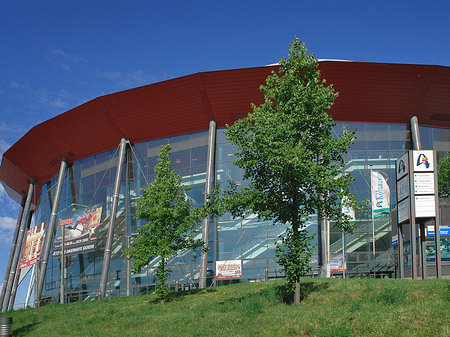 Kölnarena auf einer Wiese - Nordrhein-Westfalen (Köln)