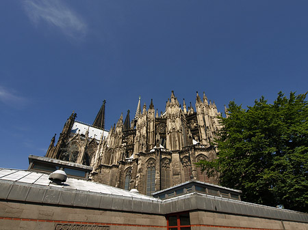 Foto Kölner Dom mit Dombauhütte