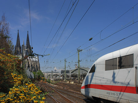 Fotos Kölner Dom mit ICE | Köln