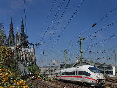 Kölner Dom mit ICE - Nordrhein-Westfalen (Köln)