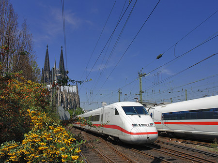 Kölner Dom mit ICE - Nordrhein-Westfalen (Köln)