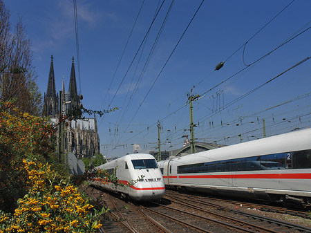 Kölner Dom mit ICE Foto 