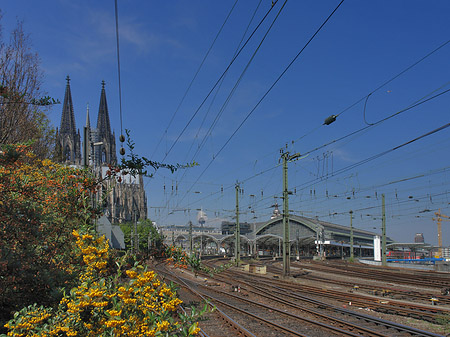 Hauptbahnhof neben dem Kölner Dom - Nordrhein-Westfalen (Köln)