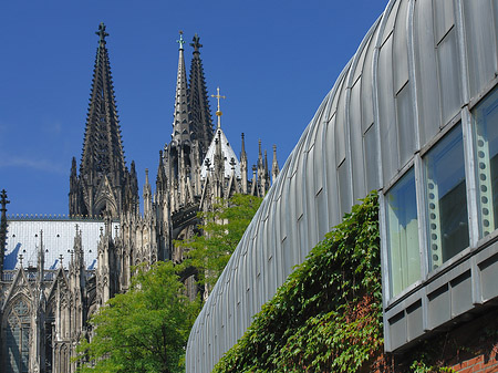 Hauptbahnhof vor dem Kölner Dom - Nordrhein-Westfalen (Köln)