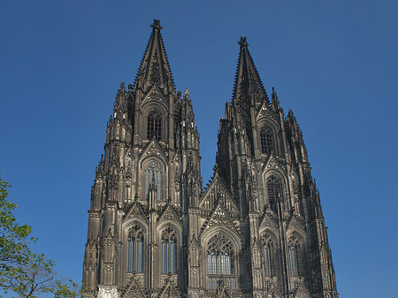 Kreuzblume vor Kölner Dom