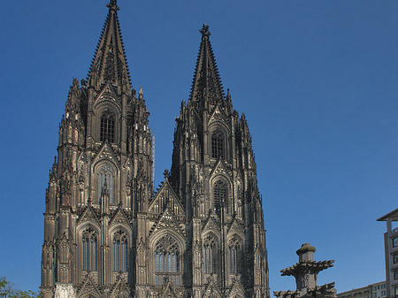 Fotos Kreuzblume vor Kölner Dom