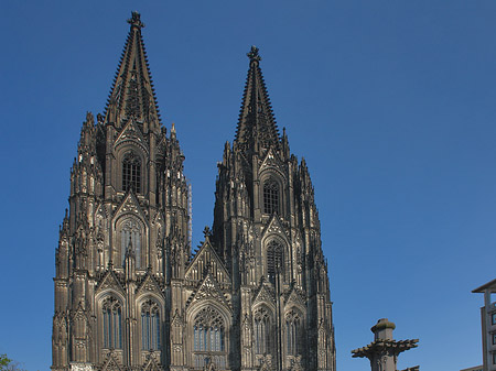 Foto Kreuzblume vor Kölner Dom - Köln