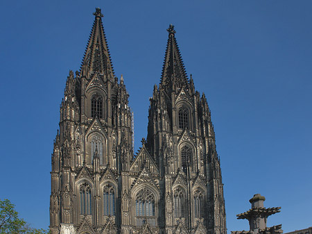 Kreuzblume vor Kölner Dom Fotos