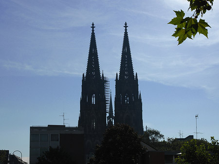 Fotos Kölner Dom