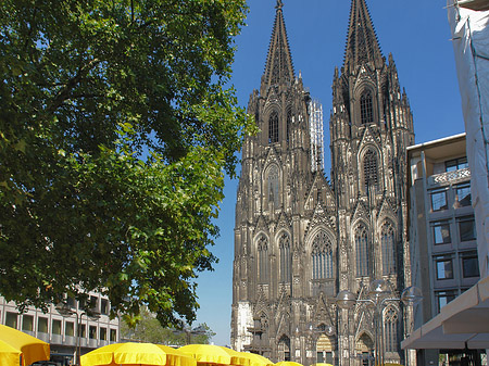 Foto gelbe Sonnenschirme vor Kölner Dom - Köln