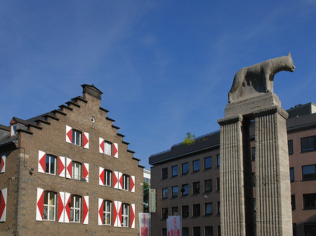 Wolfsstatue und Stadtmuseum - Nordrhein-Westfalen (Köln)