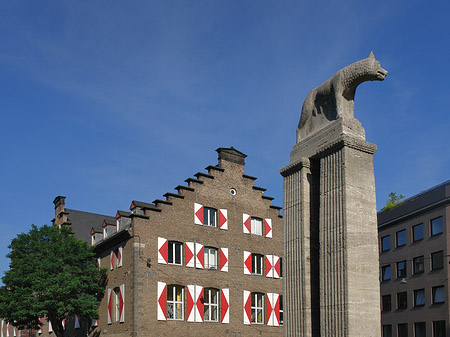 Wolfsstatue und Stadtmuseum - Nordrhein-Westfalen (Köln)