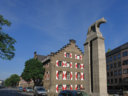 Wolfsstatue und Stadtmuseum - Nordrhein-Westfalen (Köln)