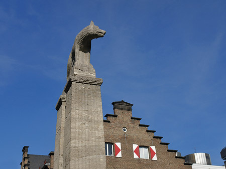 Wolfsstatue und Stadtmuseum - Nordrhein-Westfalen (Köln)