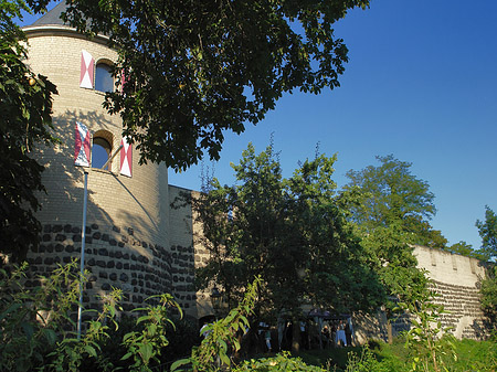 Sachsenturm hinter Busch - Nordrhein-Westfalen (Köln)