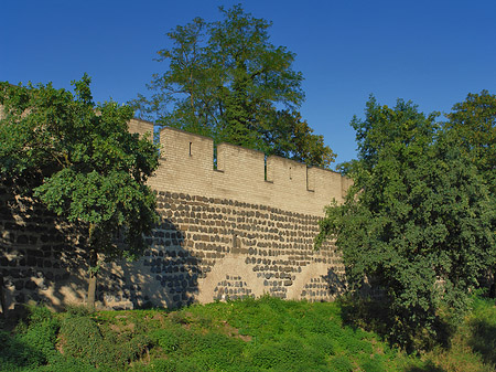 Stadtmauer am Sachsenring - Nordrhein-Westfalen (Köln)