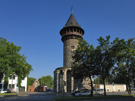 Baum an der Ulrepforte - Nordrhein-Westfalen (Köln)