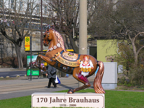 Societäts-Brauerei-Waldschlösschen - Sachsen (Dresden)